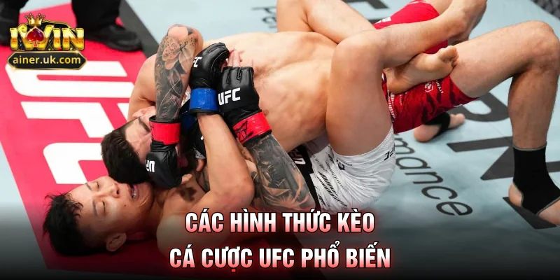 Các hình thức kèo cá cược UFC phổ biến